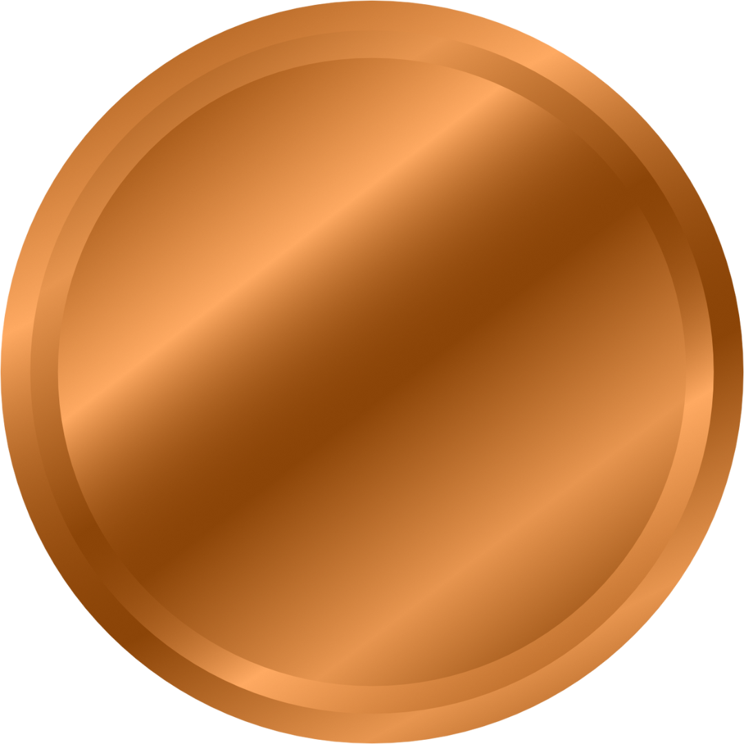 Bronze Award